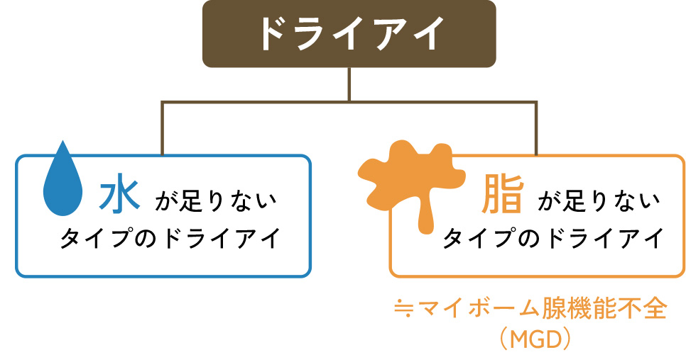 ドライアイのタイプ「水分が足りないタイプ」と「油分(あぶら)が足りないタイプ」